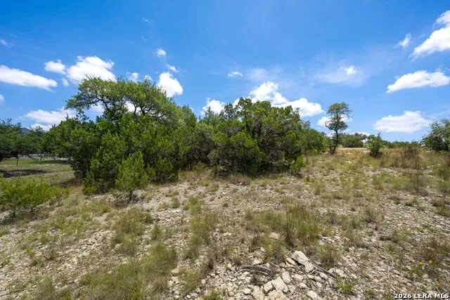 34705 Mayer Oaks Bulverde, TX 78163