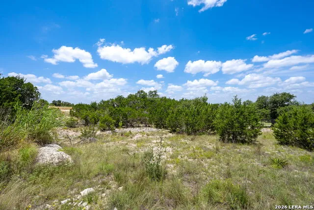 34705 Mayer Oaks Bulverde, TX 78163