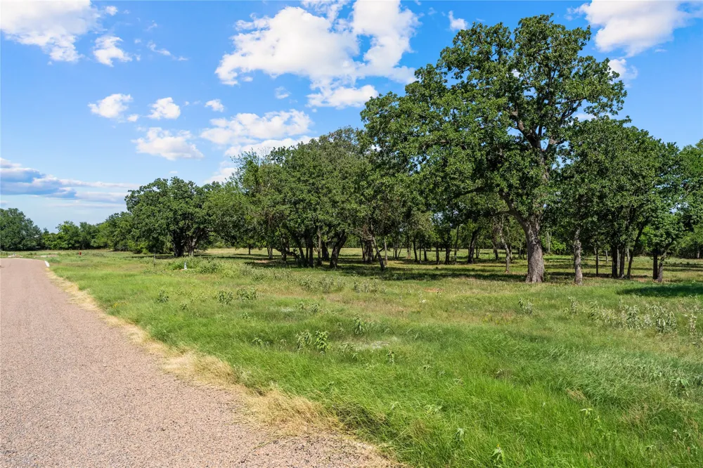 Lakewood Drive Whitney, TX 76692