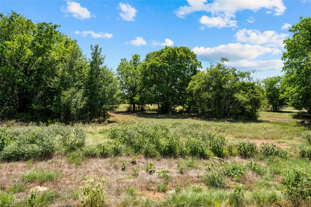 Lakewood Drive Whitney, TX 76692