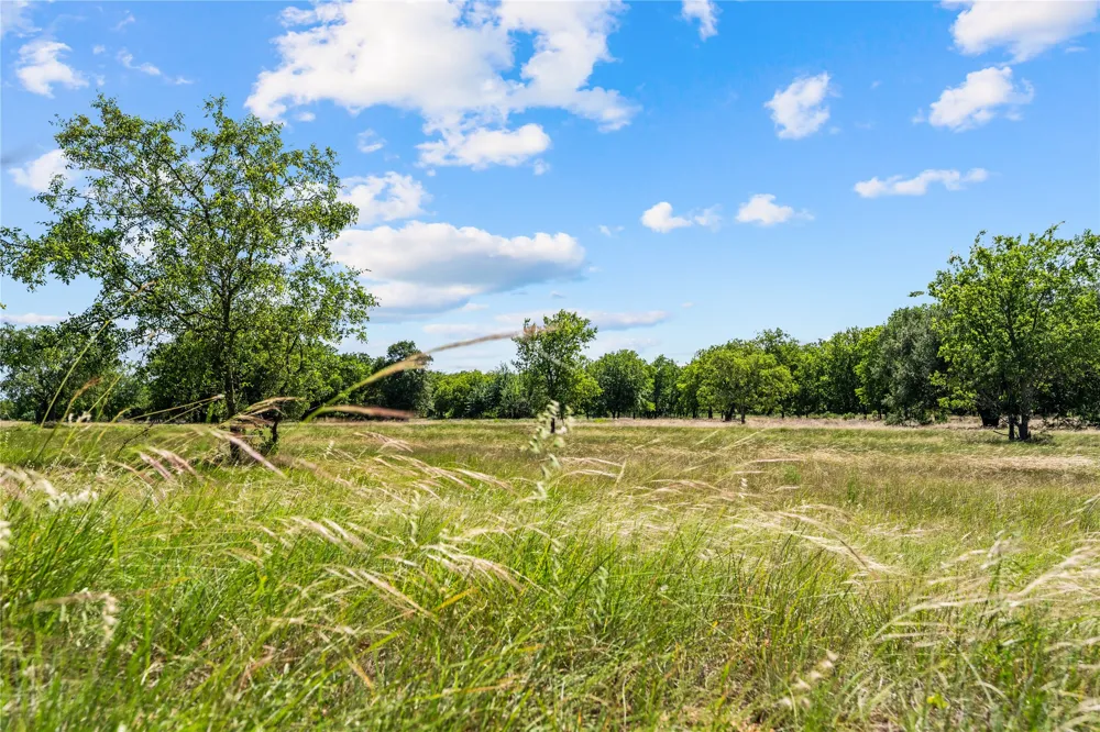 Lakewood Drive Whitney, TX 76692