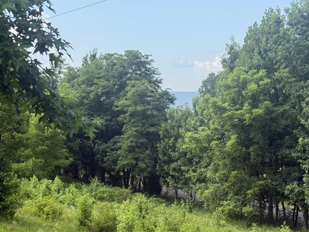 9749 Al Highway Bryant, AL 35958