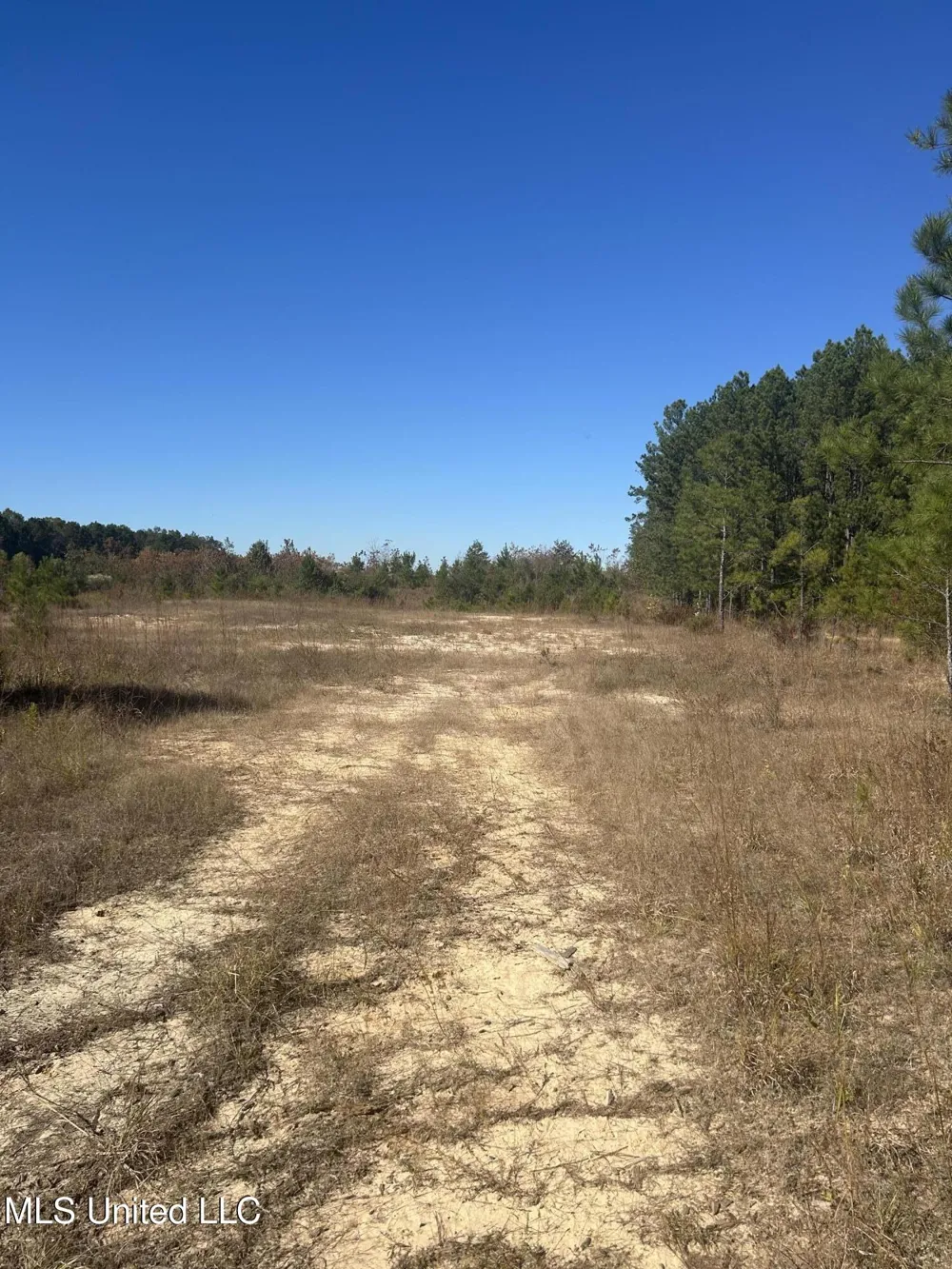 Tbd Highway 80 Pearl, MS 39208