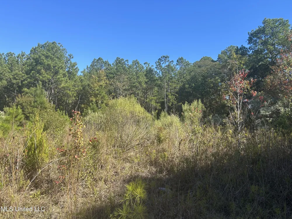 Tbd Highway 80 Pearl, MS 39208