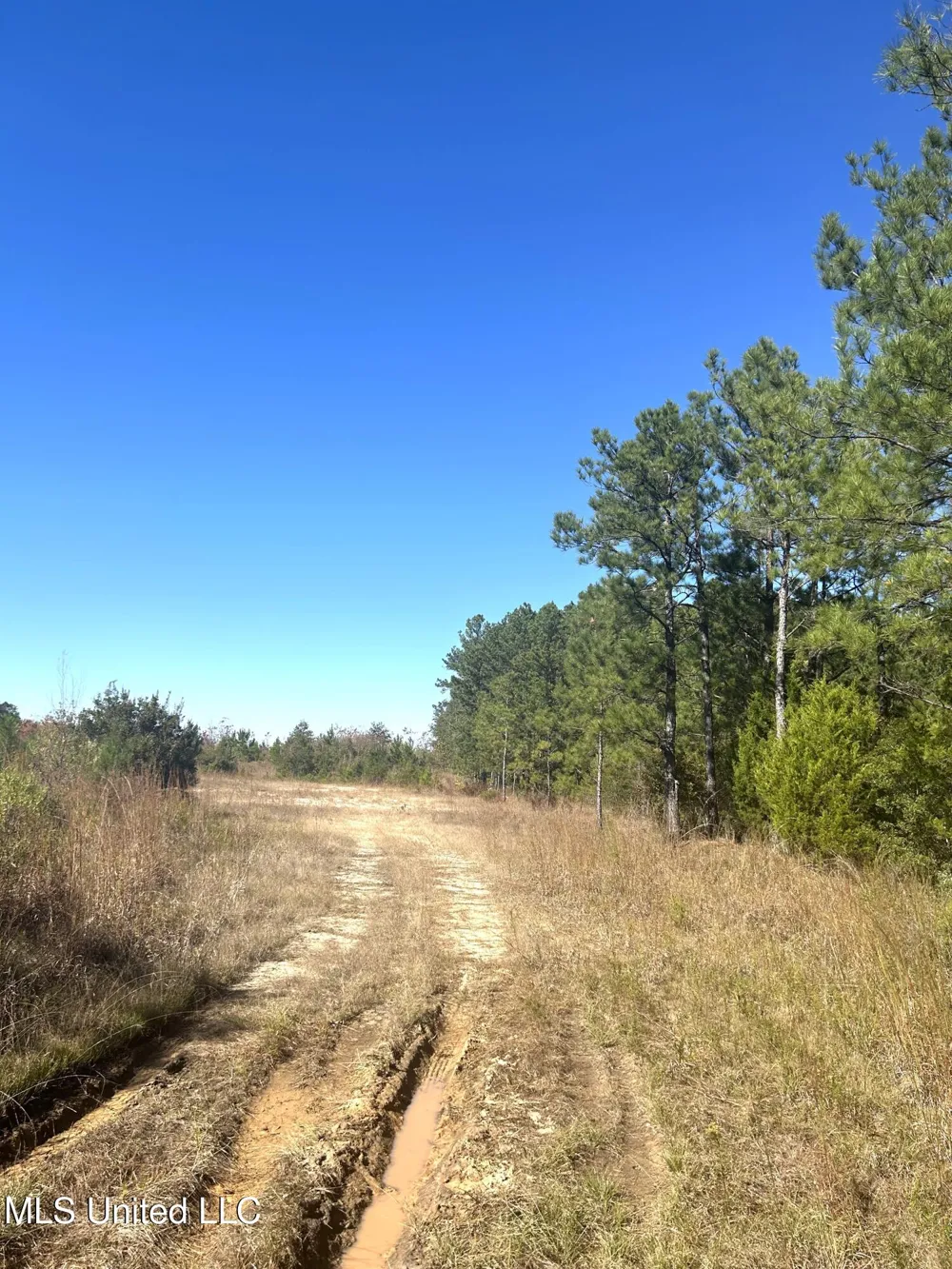 Tbd Highway 80 Pearl, MS 39208