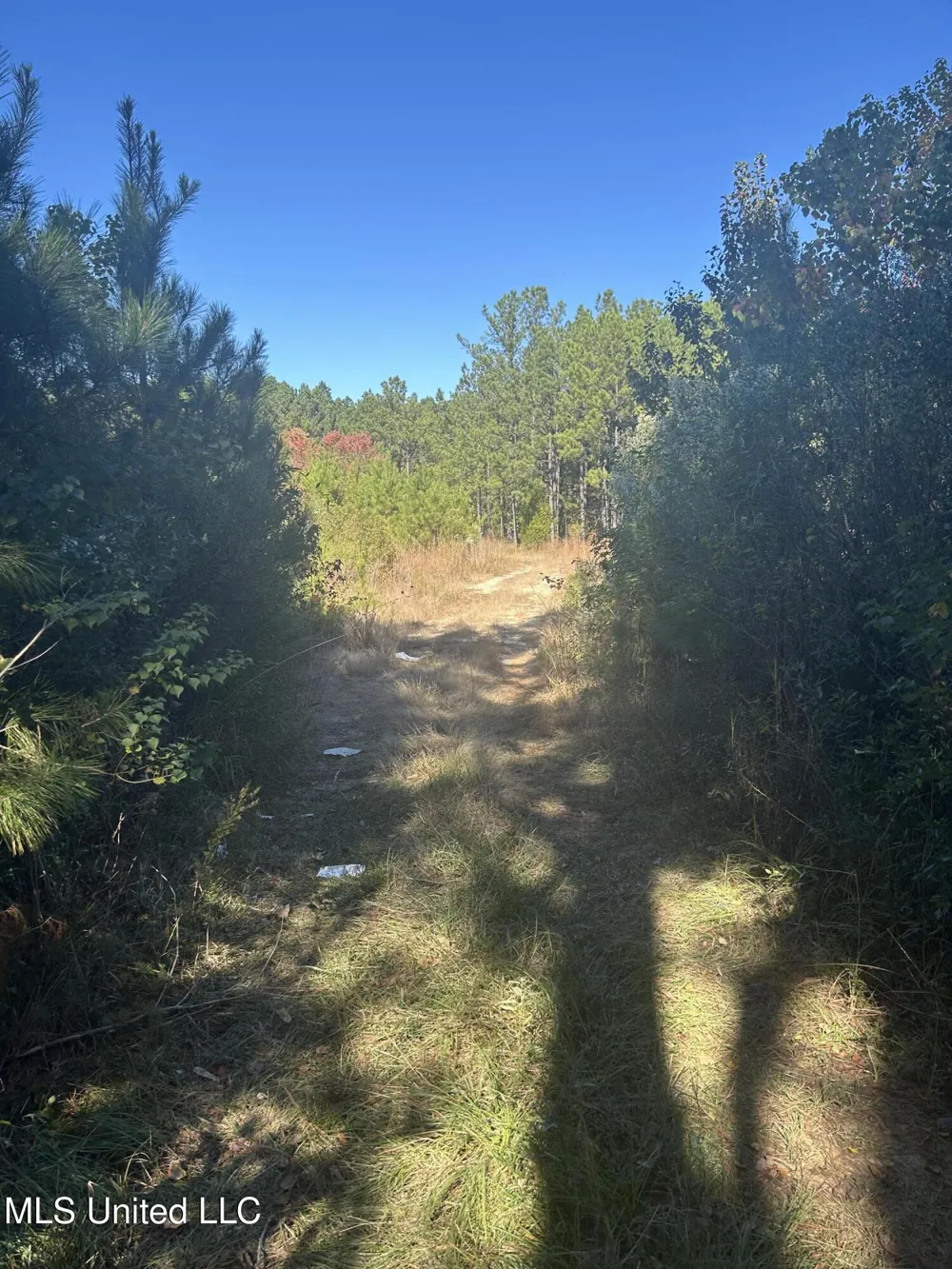 Tbd Highway 80 Pearl, MS 39208