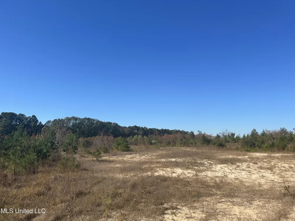 Tbd Highway 80 Pearl, MS 39208