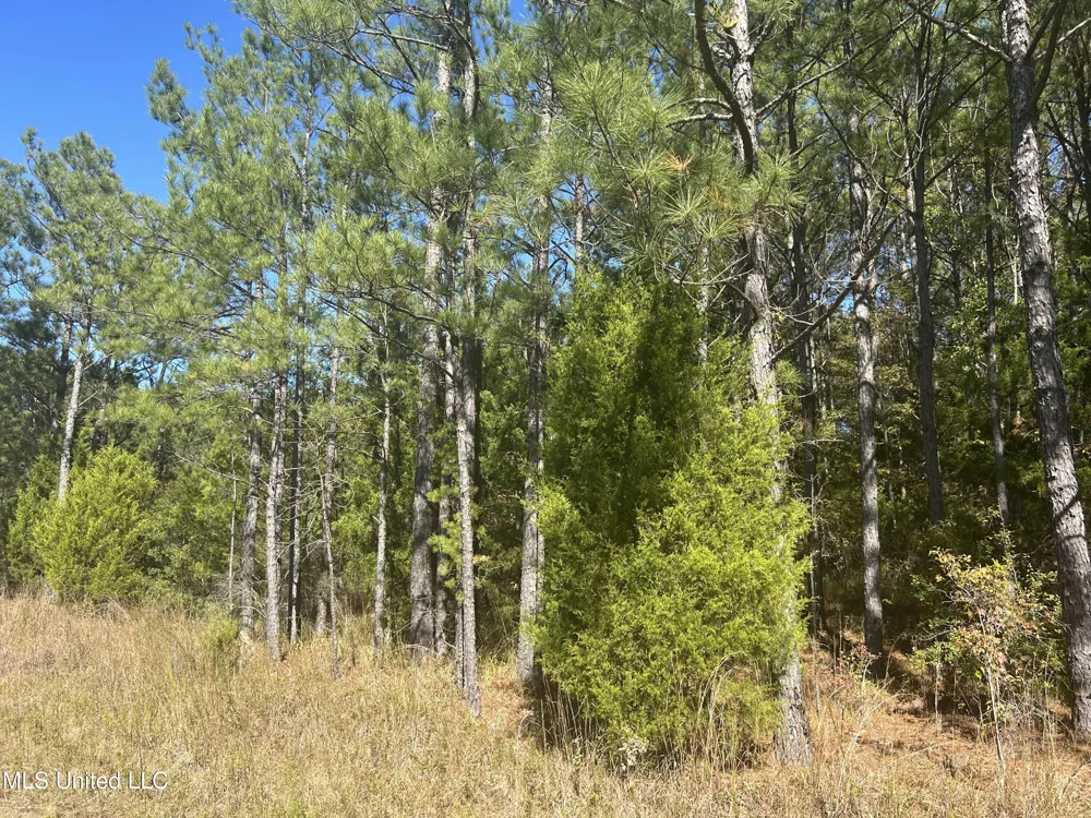 Tbd Highway 80 Pearl, MS 39208