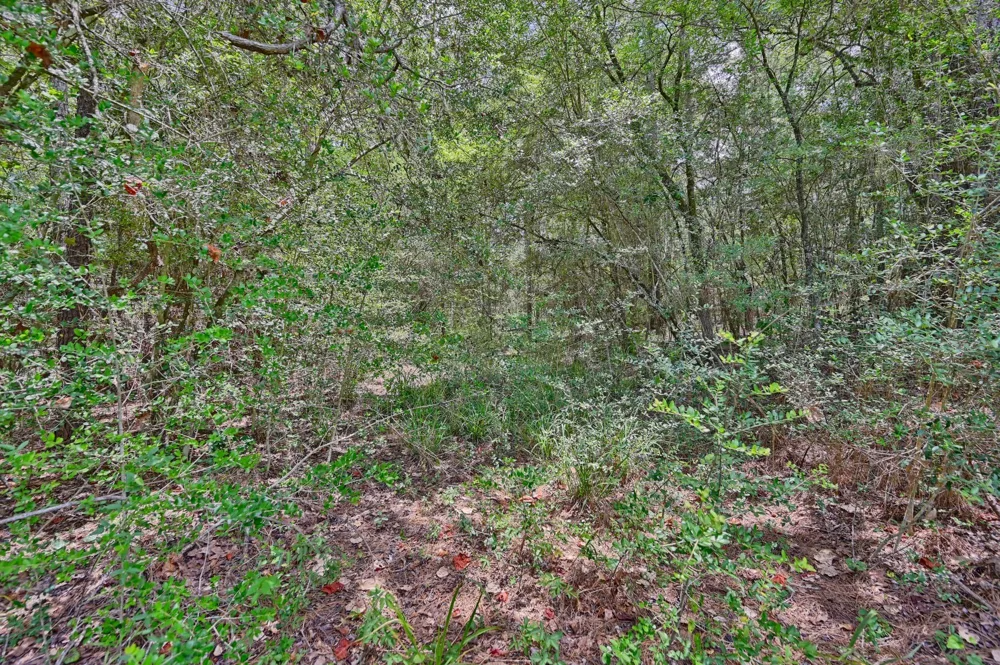 16893 Whippoorwill Road Navasota, TX 77868