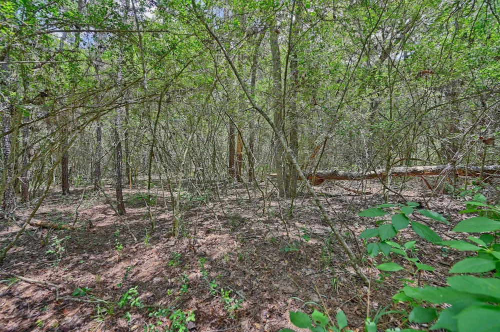 16893 Whippoorwill Road Navasota, TX 77868