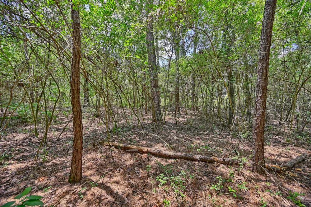 16893 Whippoorwill Road Navasota, TX 77868