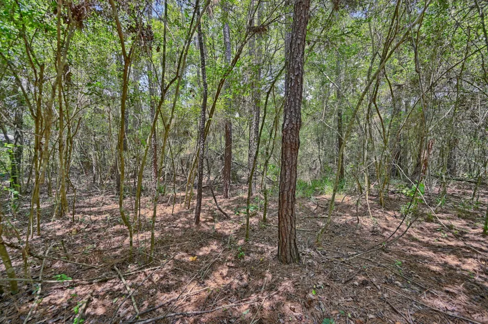 16893 Whippoorwill Road Navasota, TX 77868