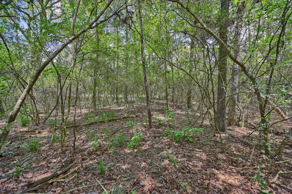 16893 Whippoorwill Road Navasota, TX 77868