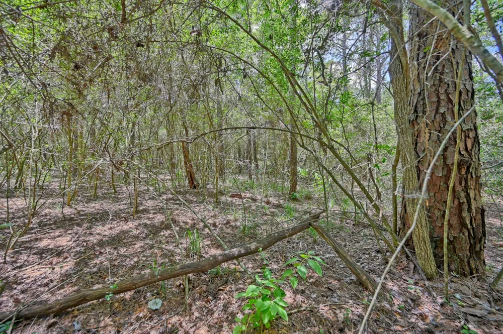 16893 Whippoorwill Road Navasota, TX 77868