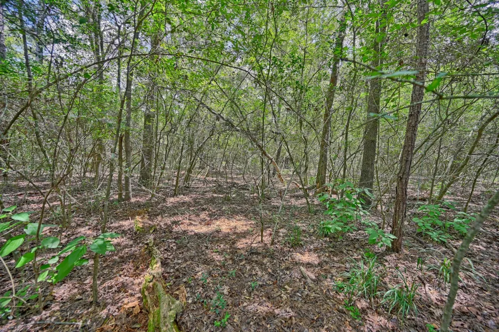 16893 Whippoorwill Road Navasota, TX 77868