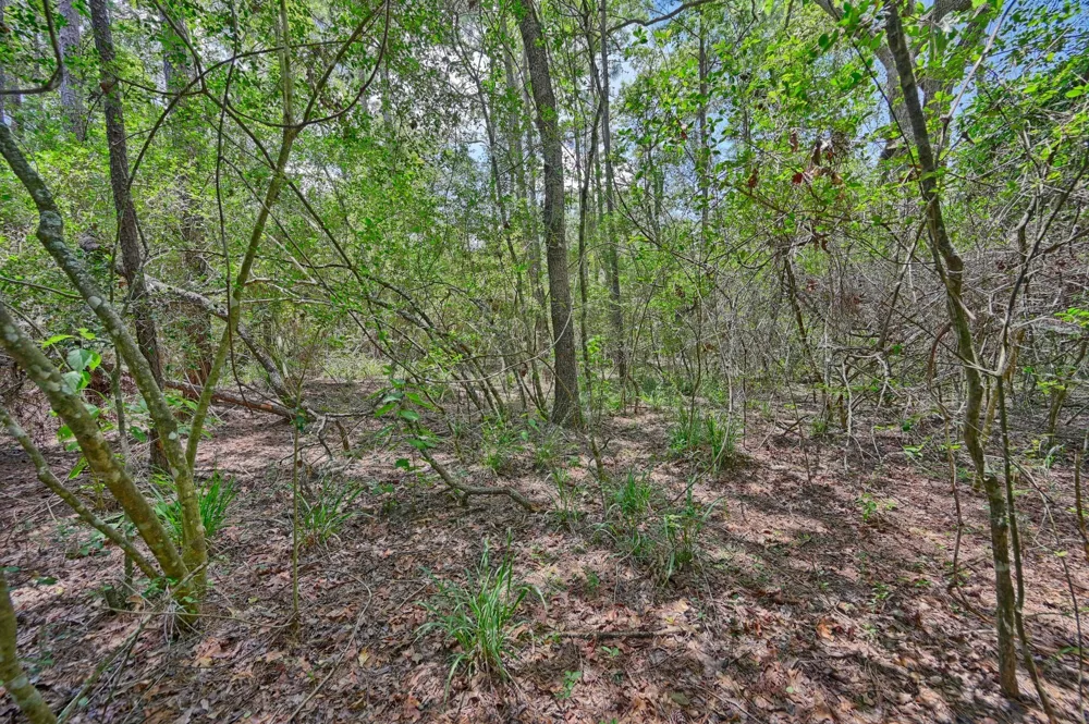 16893 Whippoorwill Road Navasota, TX 77868