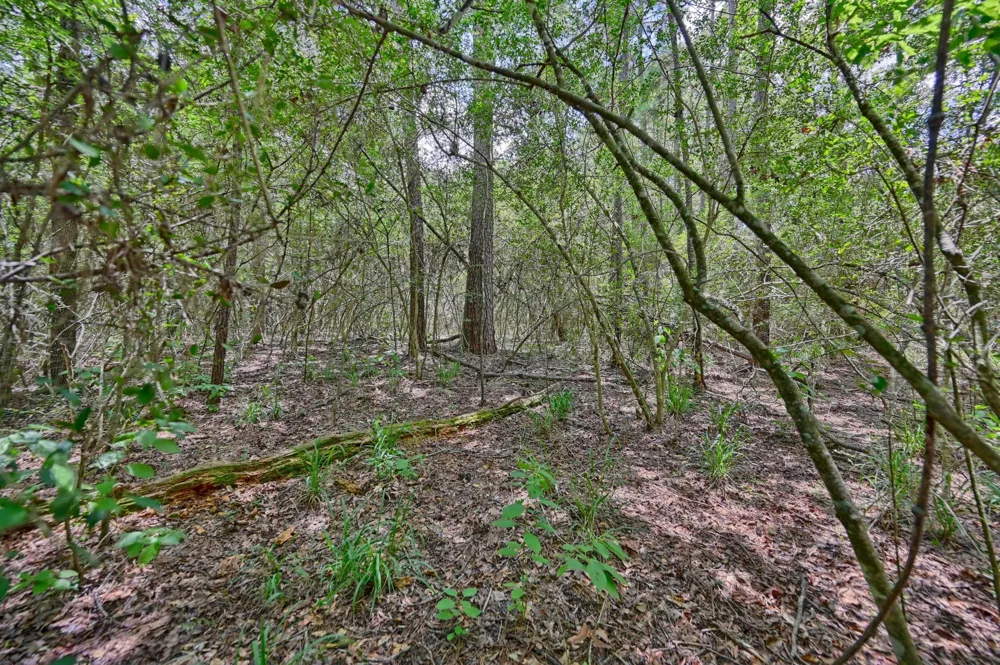 16893 Whippoorwill Road Navasota, TX 77868