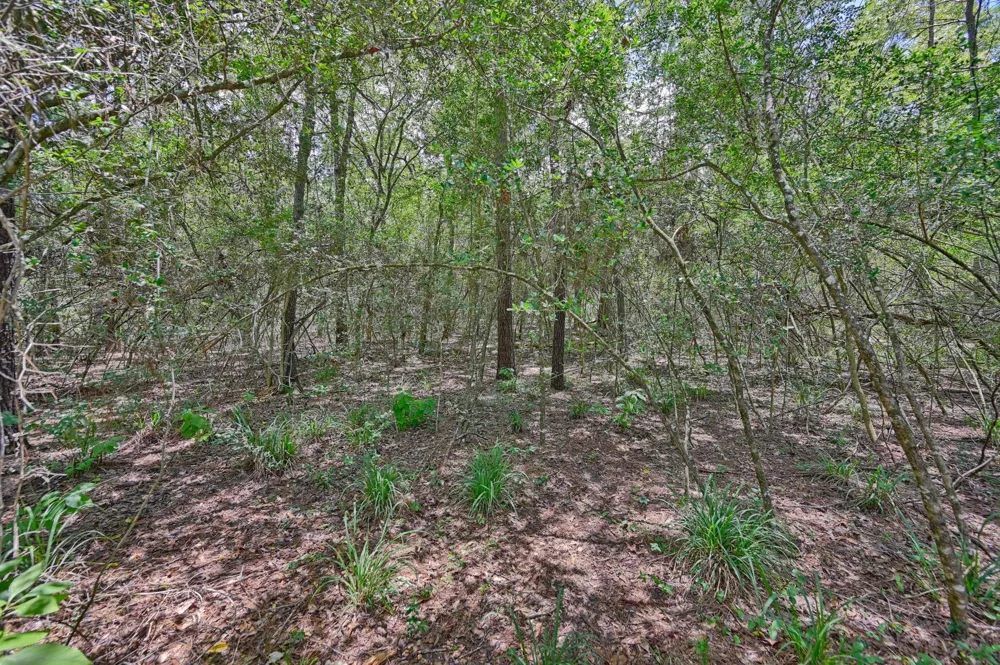 16893 Whippoorwill Road Navasota, TX 77868