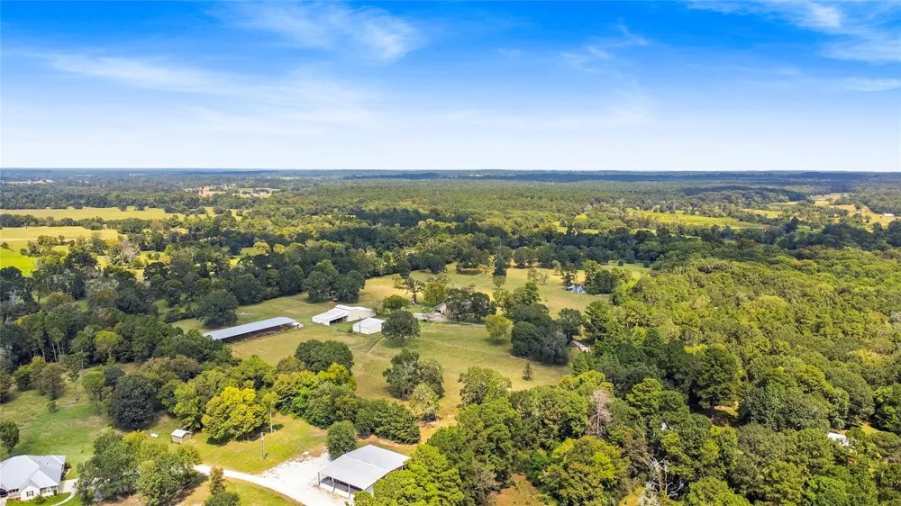 Willys Road New Waverly, TX 77358