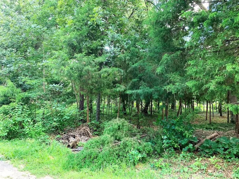 114 Barkley Road Bullard, TX 75757