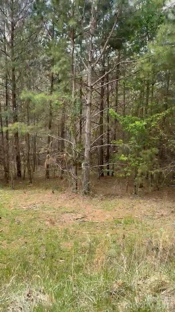 117 Church View Drive Lawndale, NC 28090