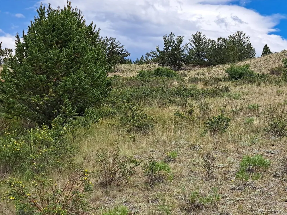 924 Mustang Road Como, CO 80432