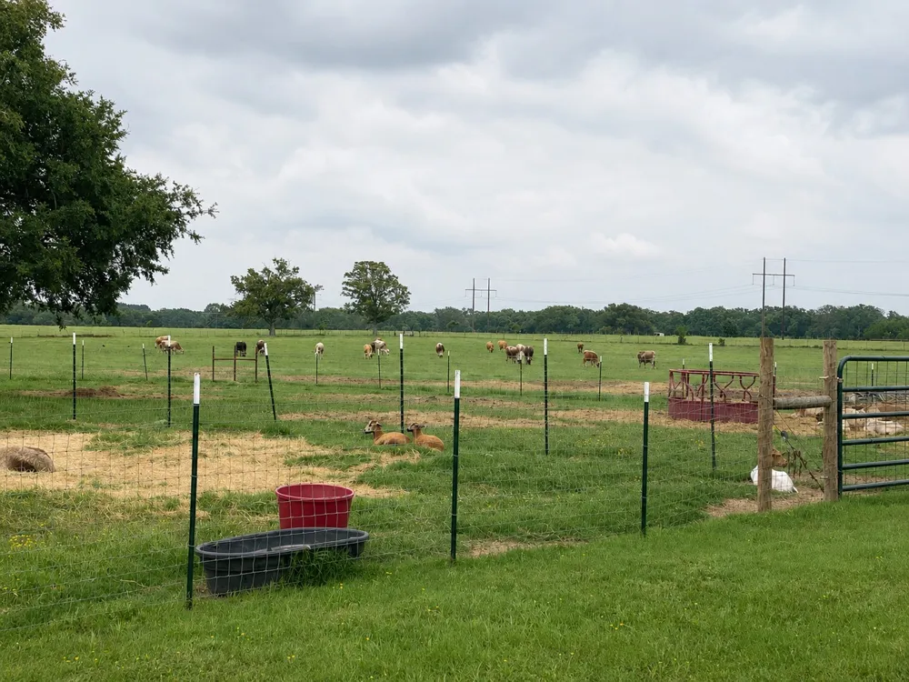1143 RS County Road 2300 Emory, TX 75440