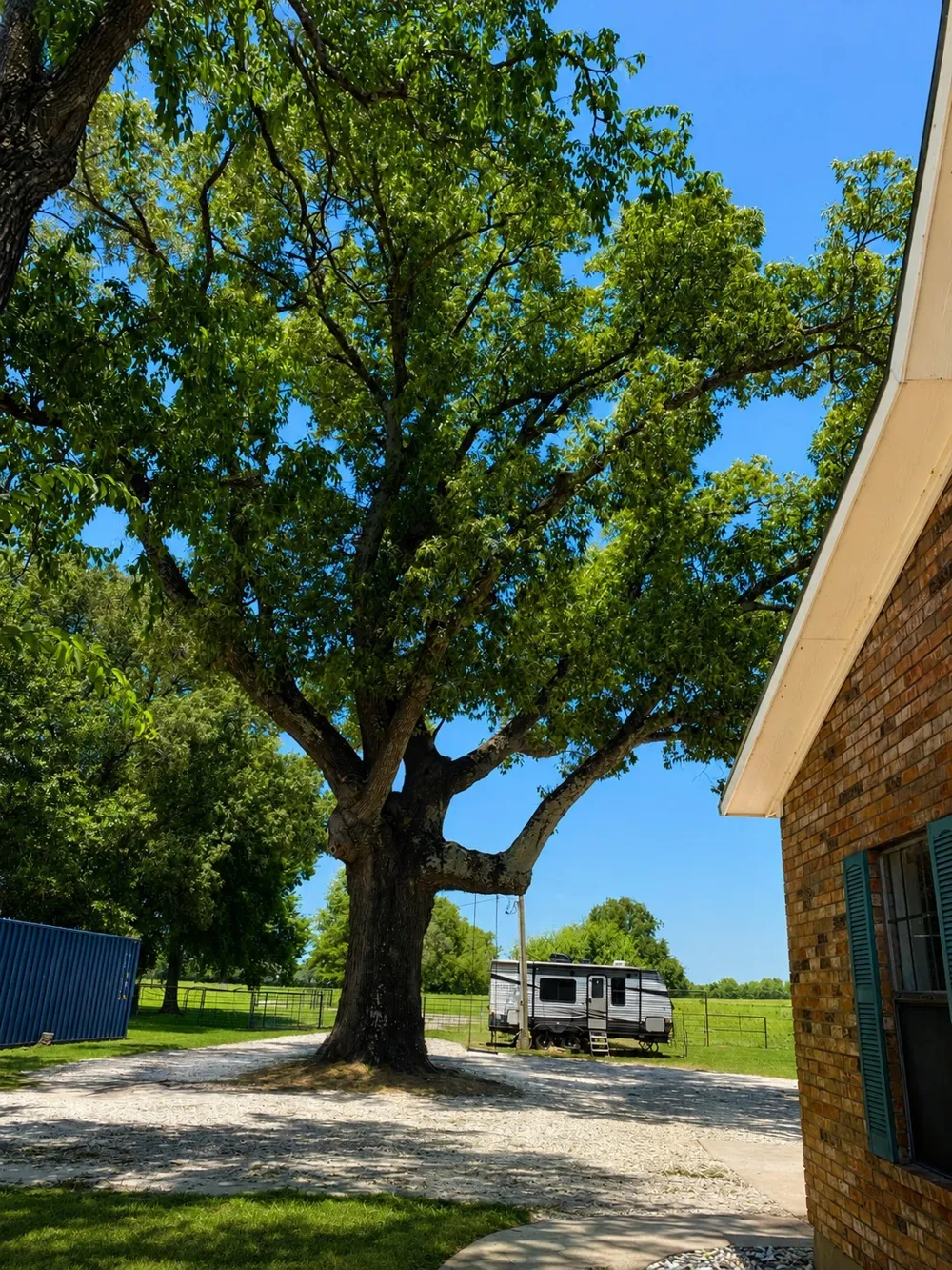 1143 RS County Road 2300 Emory, TX 75440