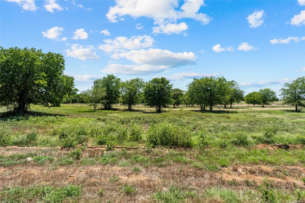 Lakewood Drive Whitney, TX 76692