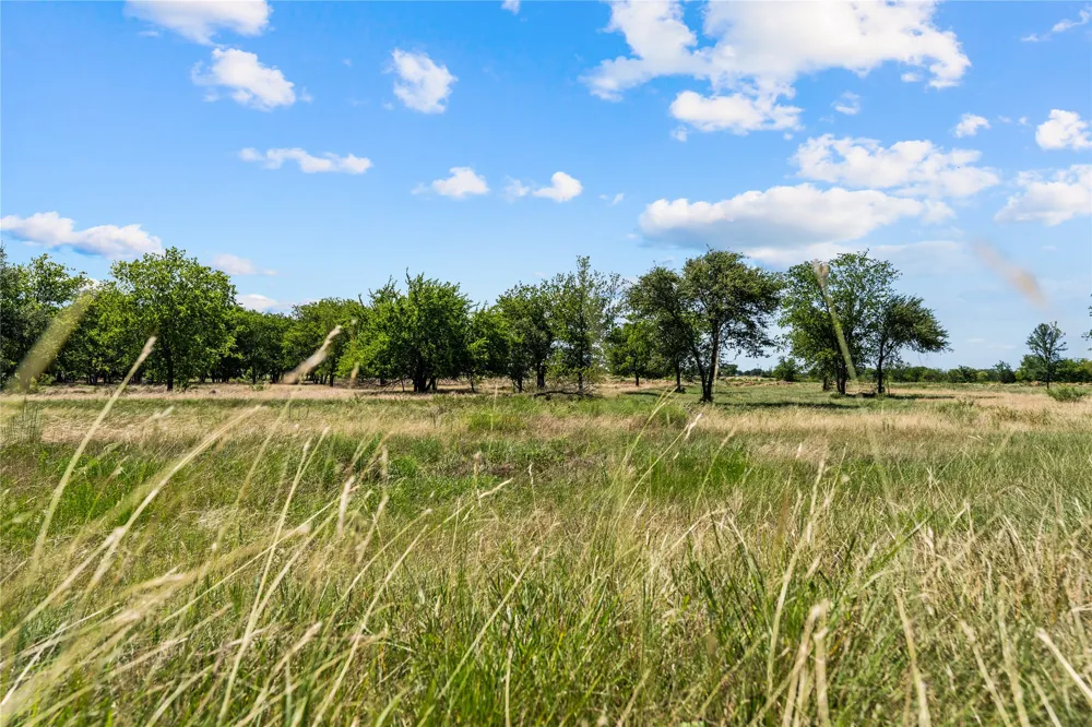 Lakewood Drive Whitney, TX 76692