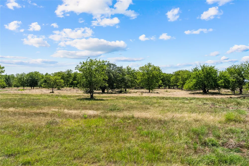 Lakewood Drive Whitney, TX 76692