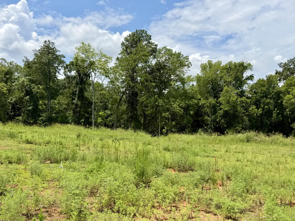 2054 Daniel Johnson Way Clarksville, TN 37043