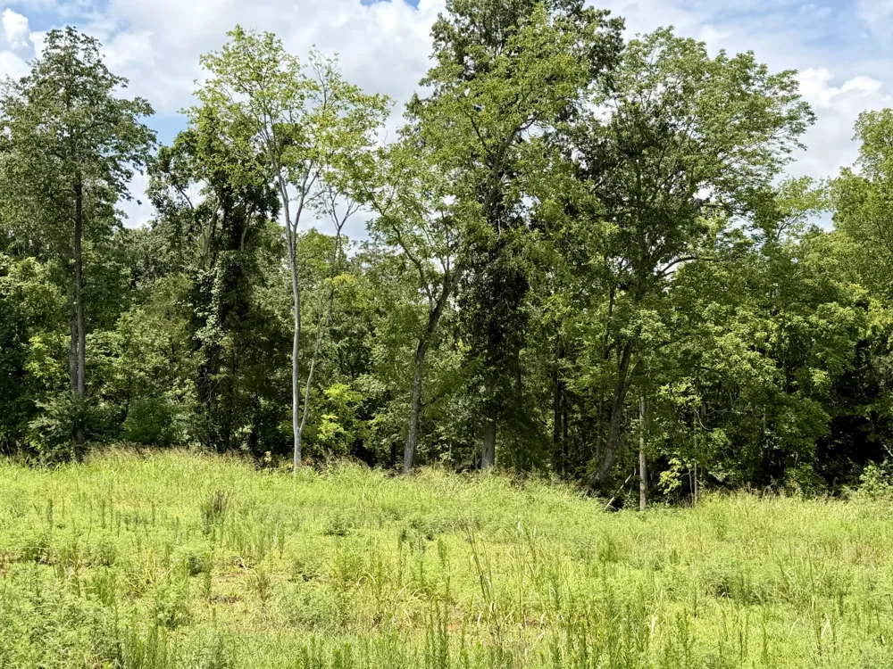 2054 Daniel Johnson Way Clarksville, TN 37043