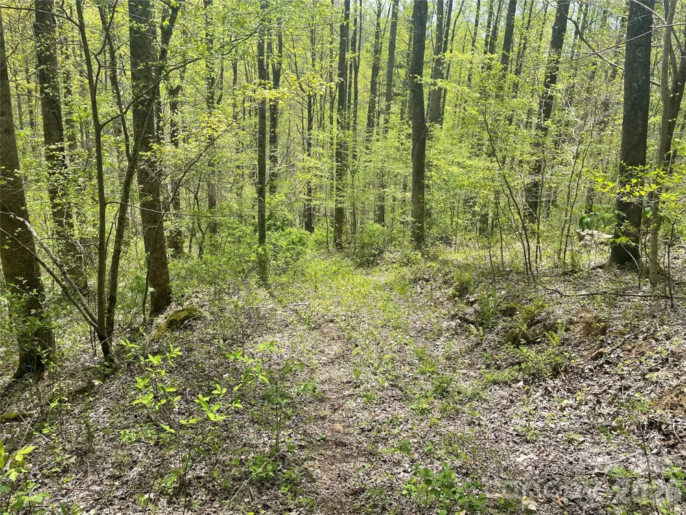 99999 Martins Creek Road Barnardsville, NC 28709