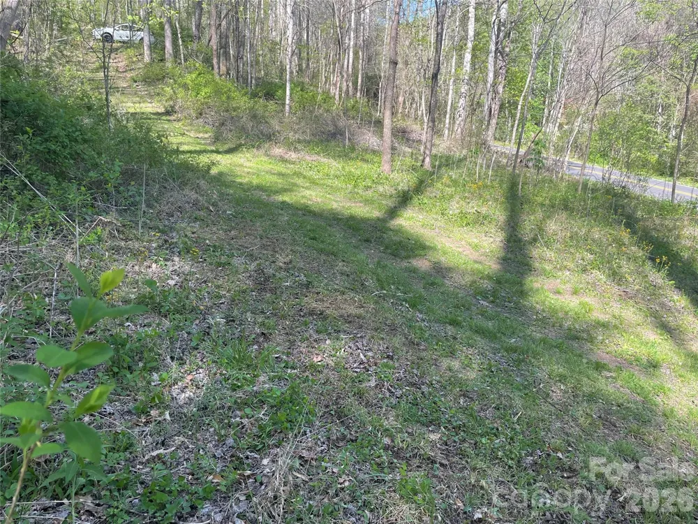 99999 Martins Creek Road Barnardsville, NC 28709