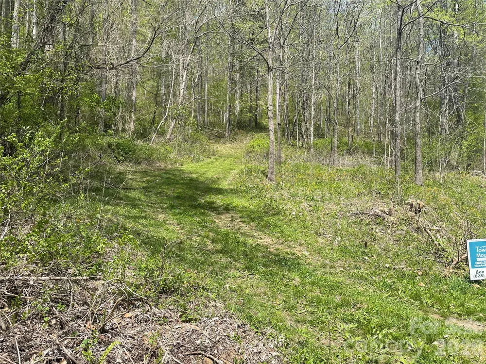 99999 Martins Creek Road Barnardsville, NC 28709
