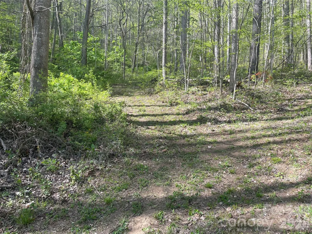 99999 Martins Creek Road Barnardsville, NC 28709