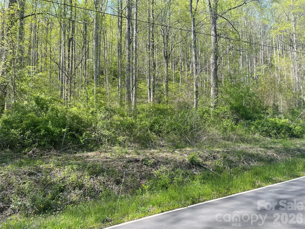 99999 Martins Creek Road Barnardsville, NC 28709