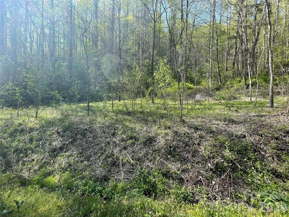 99999 Martins Creek Road Barnardsville, NC 28709