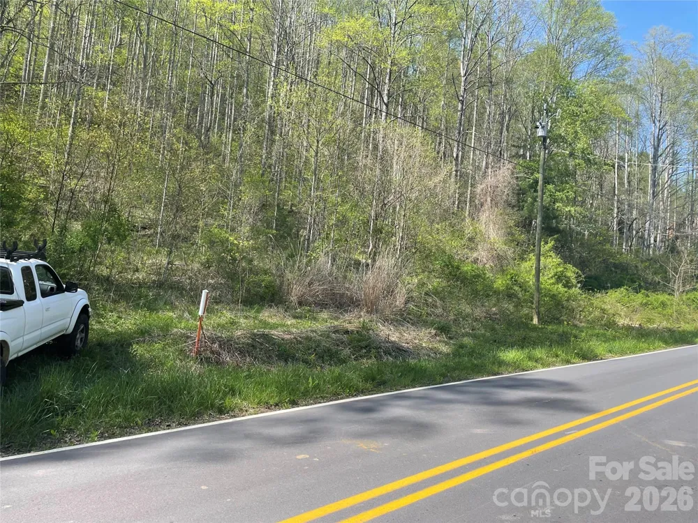 99999 Martins Creek Road Barnardsville, NC 28709
