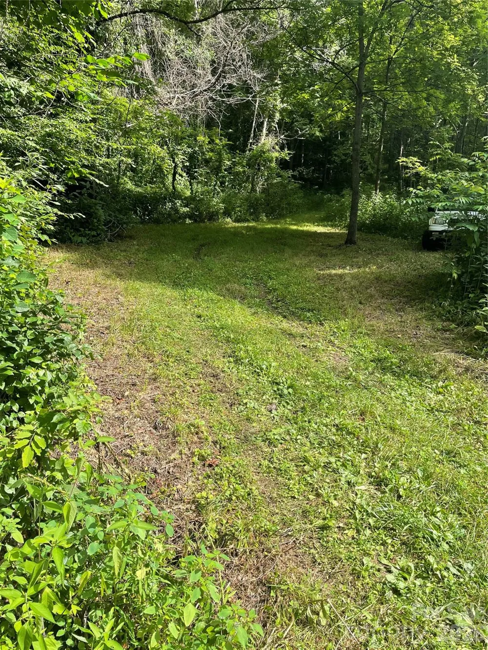 99999 Martins Creek Road Barnardsville, NC 28709