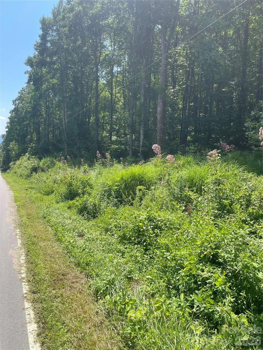 99999 Martins Creek Road Barnardsville, NC 28709