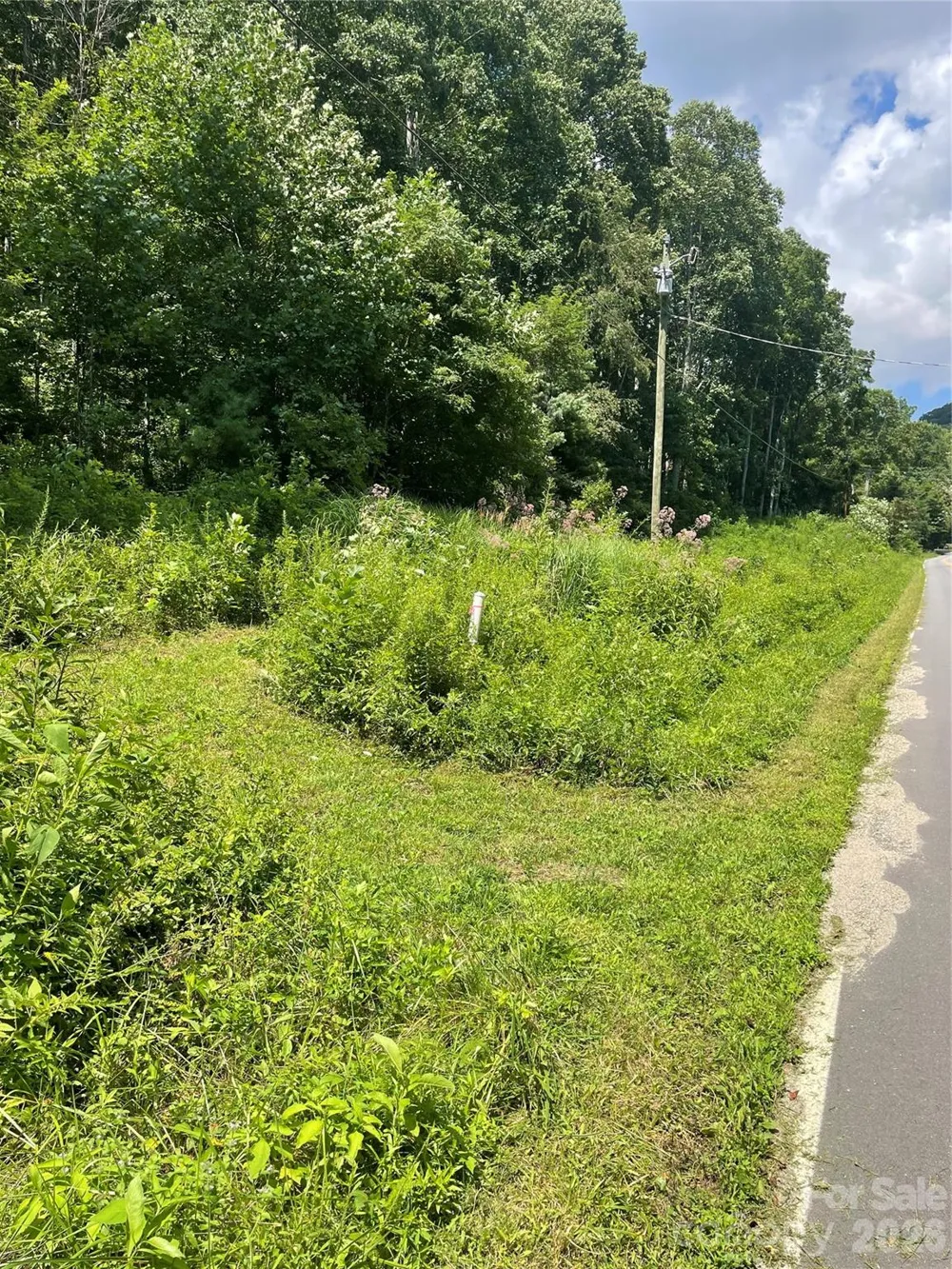 99999 Martins Creek Road Barnardsville, NC 28709