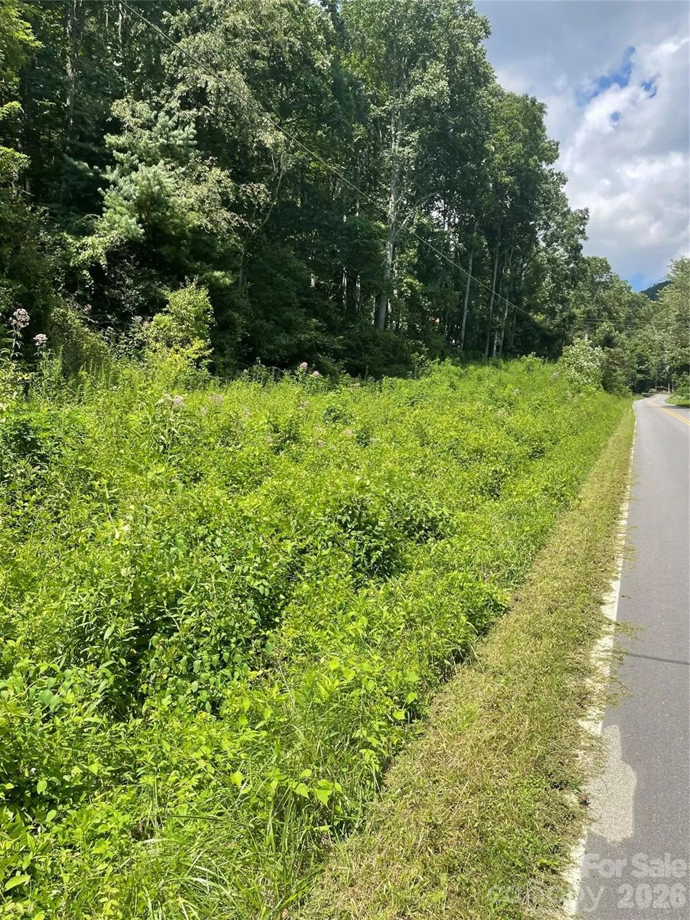 99999 Martins Creek Road Barnardsville, NC 28709