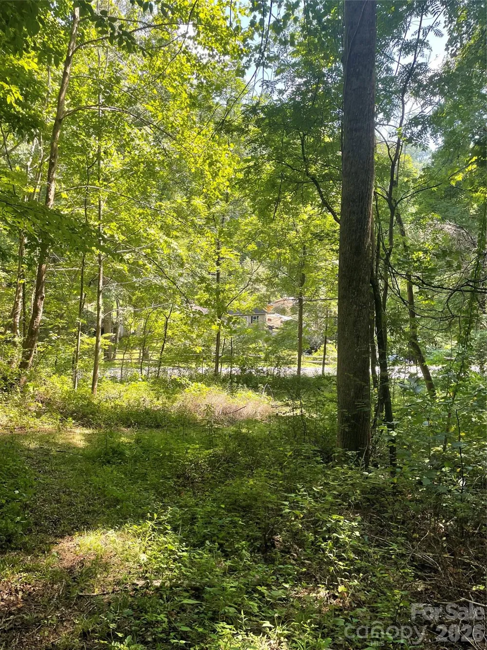 99999 Martins Creek Road Barnardsville, NC 28709