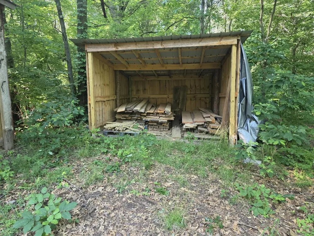 55942 Day Road Marcellus, MI 49067