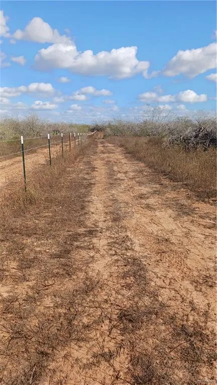 78 Energy Road San Isidro, TX 78588