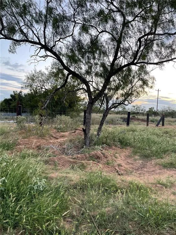 78 Energy Road San Isidro, TX 78588
