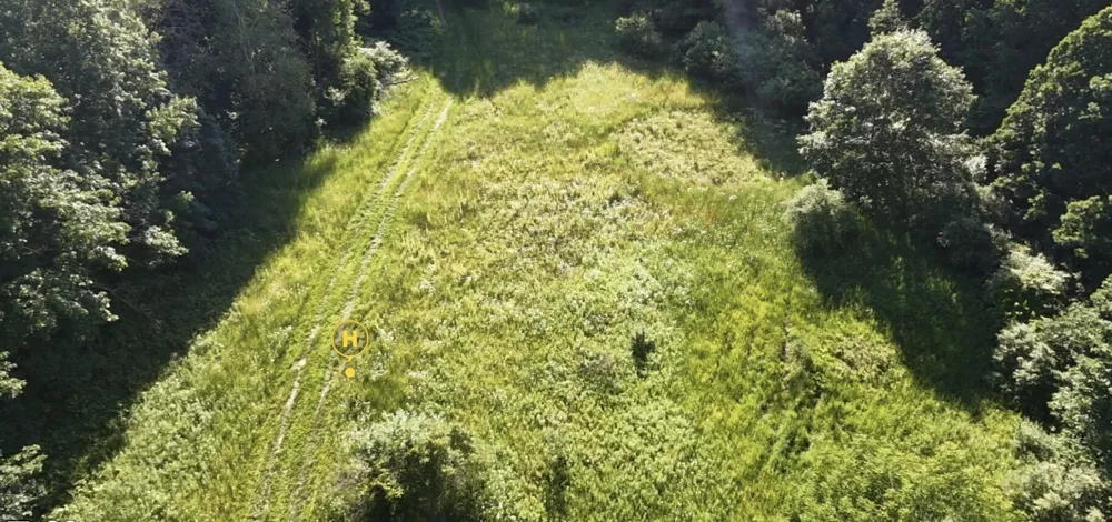 Woods Road Sidney, MI 48885