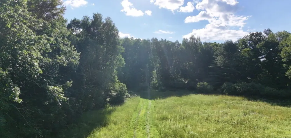 Woods Road Sidney, MI 48885